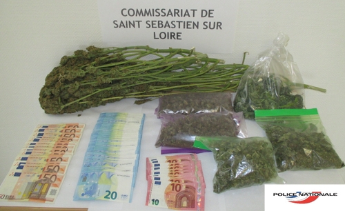 Saint-Sébastien : Trahi par l'odeur du cannabis qu'il cultivait...