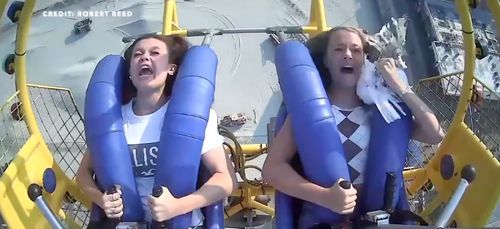 Une adolescente se prend une mouette en plein visage dans une...