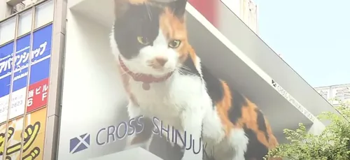 Un énorme chat 3D affiché en pleine rue effraie les passants (vidéo)