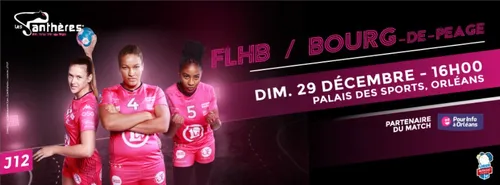 Handball : Gagnez vos places pour le match Fleury Loiret Handball -...